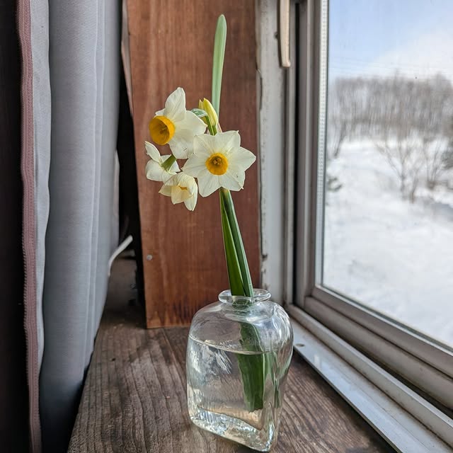 菊池牧場 Instagram